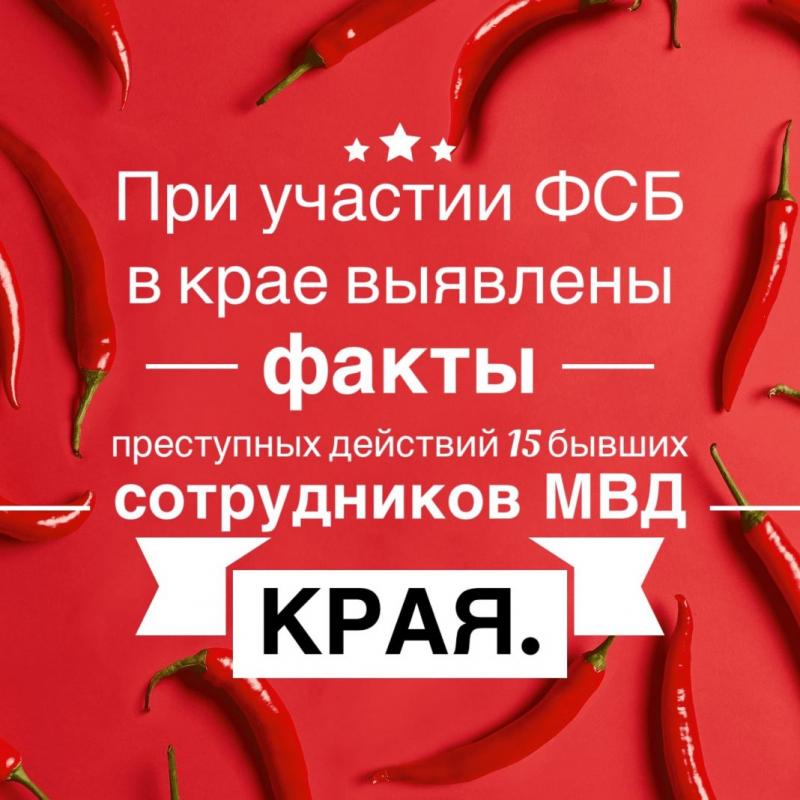 Благодаря вмешательству ФСБ в крае удалось выявить дела в отношении 15 бывших сотрудников МВД края.