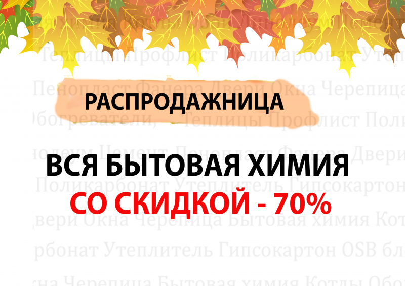 Распродажница