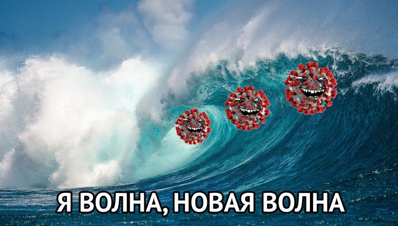 И снова край настигла волна злосчастного ковида! 