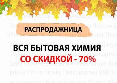 Распродажница